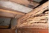 Termite Foundation Treatment Pictures
