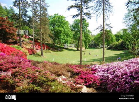 The Punchbowl Valley Gardens The Royal Landscape Windsor Great