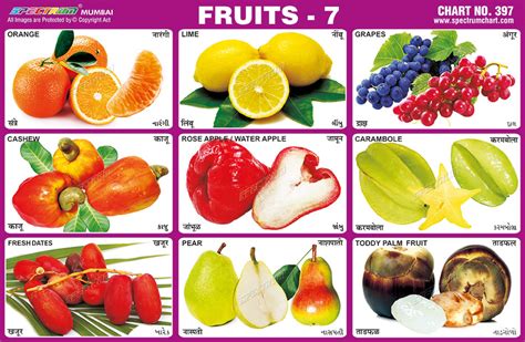 Spectrum Educational Charts Chart 397 Fruits 7