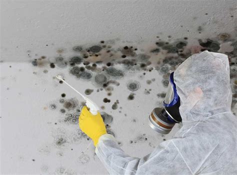 Identifying what is causing damp in your ceiling. How to get rid of black mould, condensation and damp ...