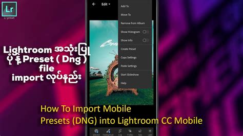 Import presets to lightroom mobile. How To Import Mobile Presets (DNG) into Lightroom CC ...