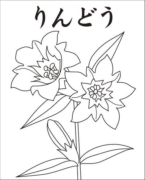 ※ 塗料は、基材との組み合わせで防火材料が認定されております。 ※ 基材の防火認定（不燃材料、準不燃材料、難燃材料）により、認定番号が変わります。 注2）. 高齢者 塗り絵 無料 花