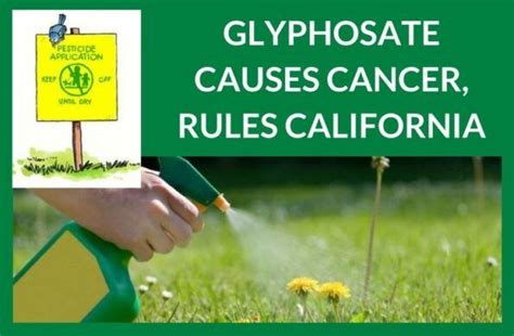Glyphosate Causes Cancer Rules California PGurus