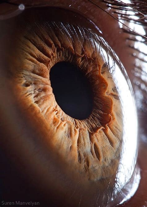 Incredible Close Up Images Of Human Eyes Unbelievable Info