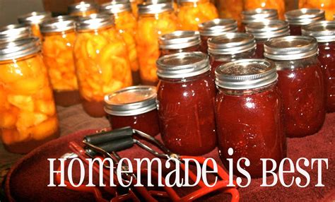 The Homemade Renegade: Why Homemade?