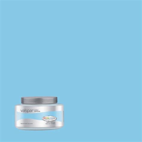 Bold, soothing, vintage, modern, beachy, elegant Valspar Summer Splash Interior Paint Sample (Actual Net ...