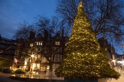 Why Do We Have Christmas Trees The History And Origins Of The Festive