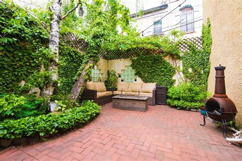 Private Courtyard With Two Towering Birch Trees English Ivy Kiwi