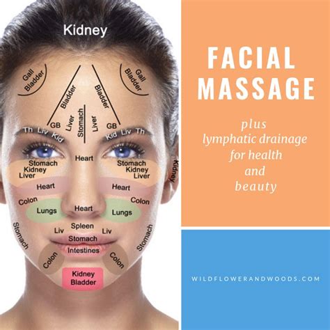 How To Improve Lymphatic Drainage Facial Massage Facial Massage