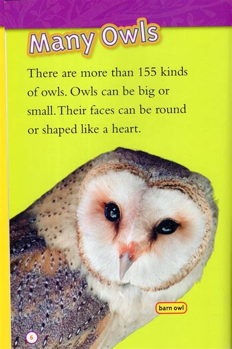 Owls National Geographic Kids Readers Level 1