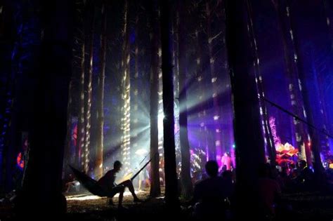Electric Forest Rothbury Michigan Forest Festival Electric Forest