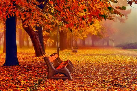November Background ·① Download Free Awesome High