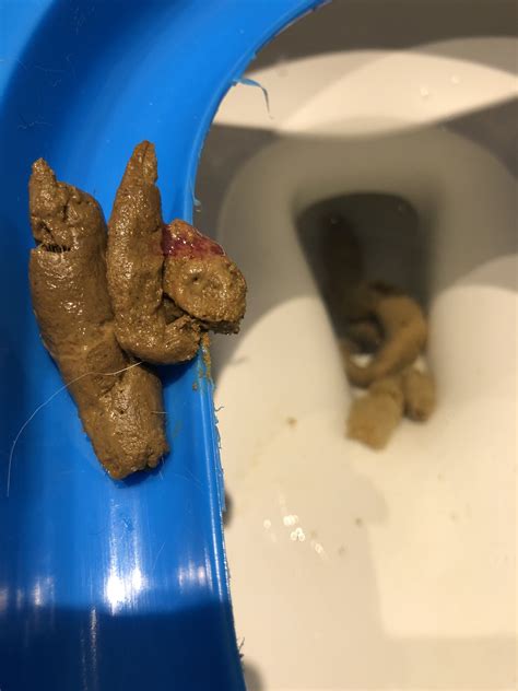 Blood And Mucus In Cat Stool