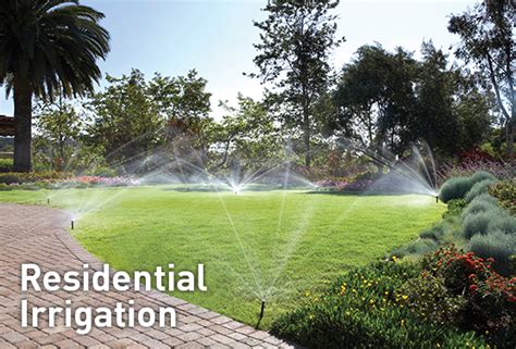 Residential Irrigation System Costs Sprinkler System Cost Think Water