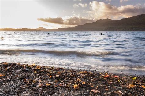 10 Top Things To Do At Lake Quinault Washington National Parks Blog