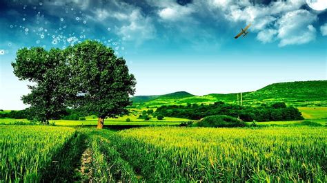 Green Pasture And Tree Cool Hd Wallpaper Pxfuel