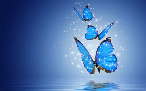 Free Download Free Download Blue Butterfly Wallpapers Aesthetic