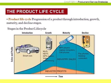Product Life Cycle Different Stages And Examples Images