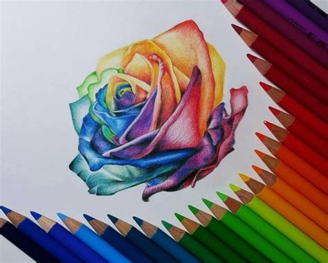 Astuces Et Idées Pour Apprendre Comment Dessiner Une Rose Colorful