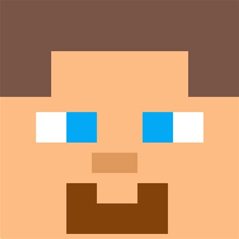 View 18 Minecraft Steve Face Png