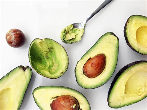 An avocado tree ( persea americana ), hardy in u.s. Avocados - Charlie Foundation