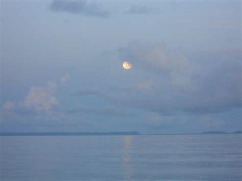 Elizabeth moon (born march 7, 1945) is an american science fiction and fantasy writer. Moon Rise Over the Pacific | Pacific Ocean | Elizabeth ...