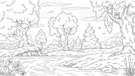 Forest Picture To Draw Forest Drawing How To Draw A Forest Step By