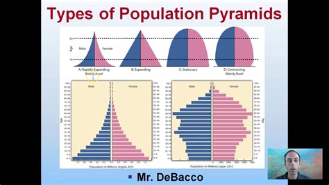 Types Of Population Pyramids Youtube