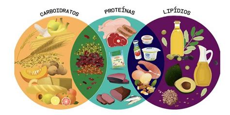 O Que São Macro E Micronutrientes Saúde And Vitalidade