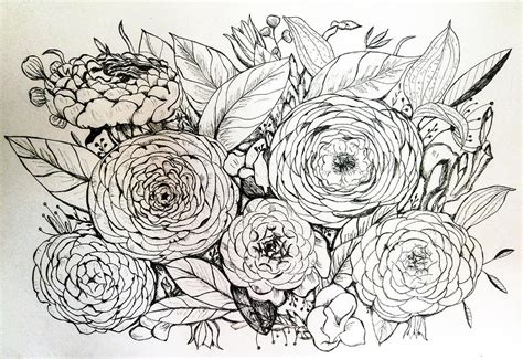 Ranunculus Drawing By T Bilous Fine Art America