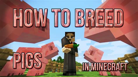 Whatever the reason, breeding can be a lucrative process. How To Breed Pigs in Minecraft - YouTube