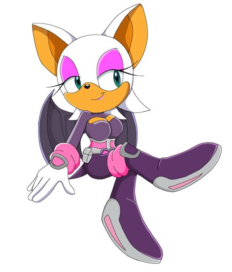 Rouge The Bat Sonic Heroes Outfit
