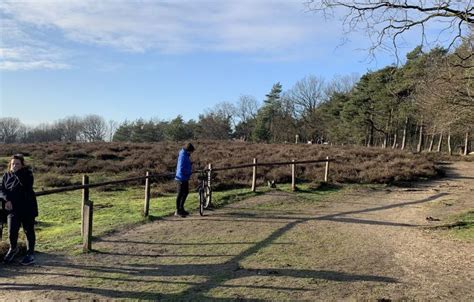 Veluwemeer Recreatief Nl