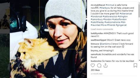 Arrest After Instagram Cat Mr Muk Stolen From Islington Bbc News
