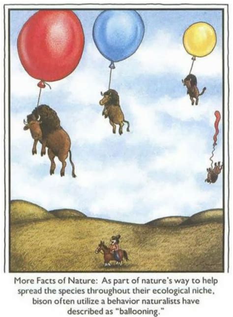 60 Observations On Life From The Far Side By Gary Larson