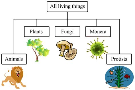 We Are Scientists 1 4 Classification Of Living Things