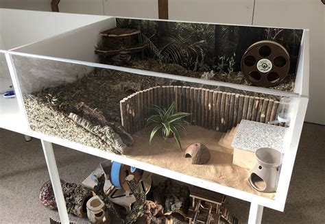 Your cage looks really good. Roborovski setup - Blog'um | Hamster cages, Hamster diy cage, Hamster toys
