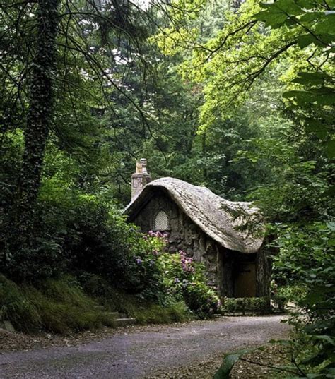 Hidden Forest Cottage The Netherlands Forest Cottage Storybook