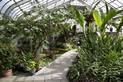 13 Advantages Of Growing Plants Within A Greenhouse Greener Ideal