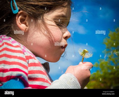 Little Girl Blowing A Dandelion Head And Making A Wish As The Seeds
