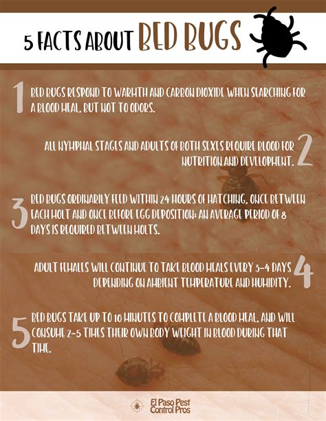 5 Facts About Bed Bugs Infographic