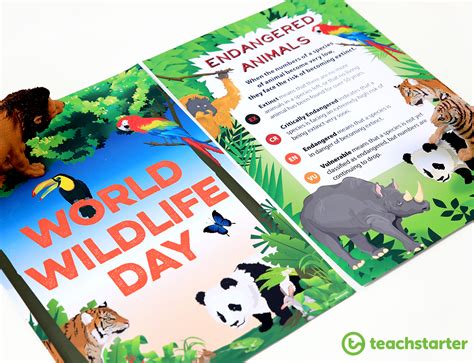 World Wildlife Day Activities For Kids 2020 Teach Starter