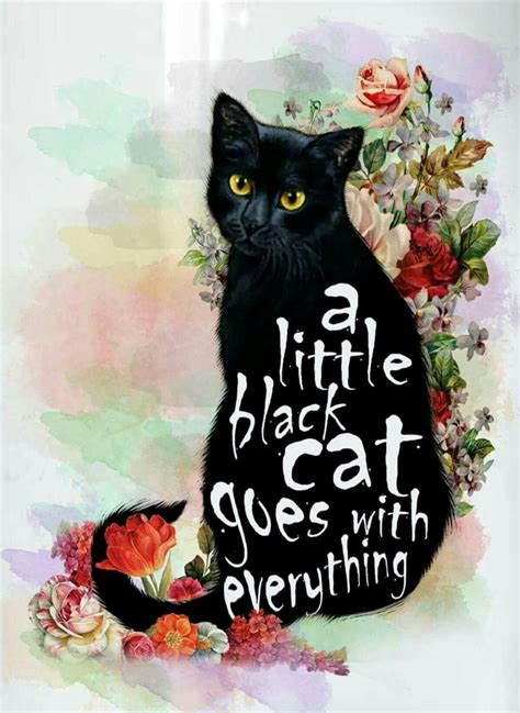 No Pin Limit Draw Cats Gatos Cool Black Cat Art Black Cats Black