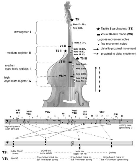 Double Bass Strings Notes Guitar