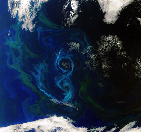 As Seen From Space Beautiful Swirling Phytoplankton Blooms