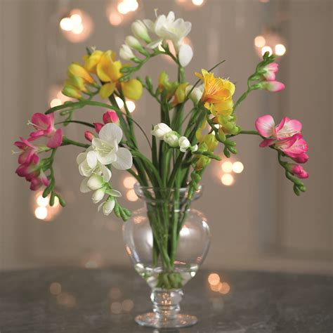 Freesia Arrangement In Footed Vase Bulb Flowers Orchid Arrangements
