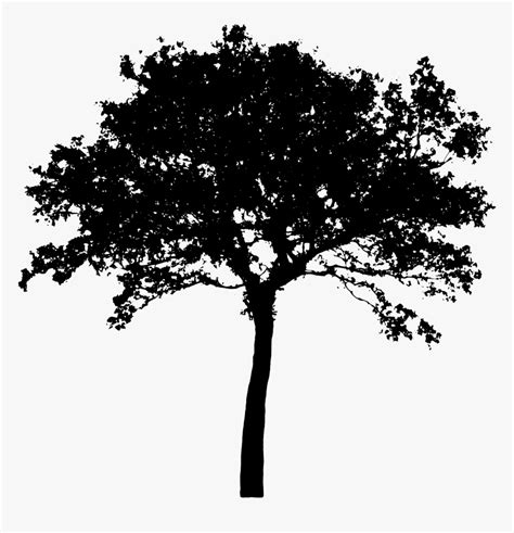 Apple Tree Silhouette Silhouette Tree Vector Png Transparent Png