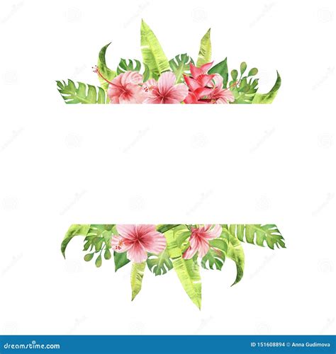Watercolor Border Frame Pink Tropical Flowers And Leaves Monstera And