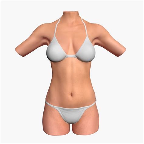 Detailed Female Torso Anatomy 3d Model Cgtrader Hot Sex Picture
