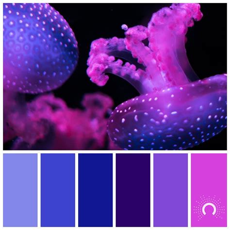 Color Palette Color Combination Farbpalette Hue Blue Violet Red